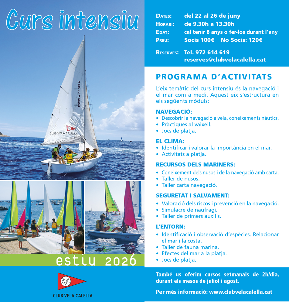 curs_intensiu_cara